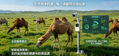 <b>通过双无机认证、01项农残检测</b>